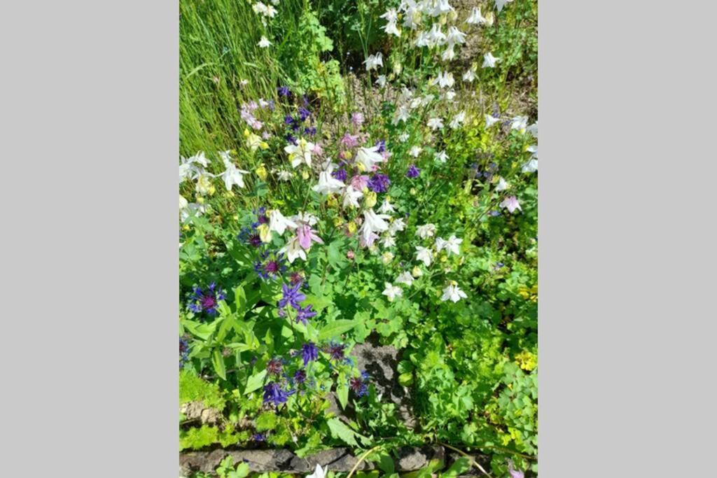 Hinter Burg, Haus Mit Garten Mayen Zewnętrze zdjęcie